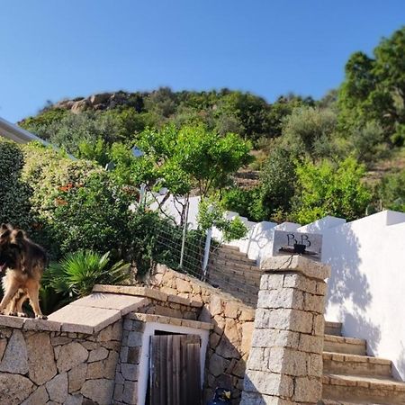 سان تيودورو Casa L'Ulivariu Affittacamere المظهر الخارجي الصورة