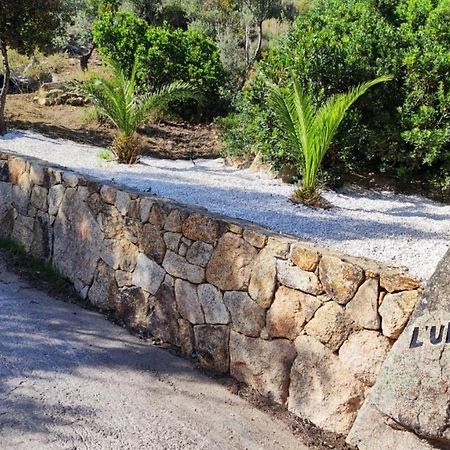 سان تيودورو Casa L'Ulivariu Affittacamere المظهر الخارجي الصورة