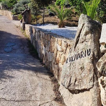 سان تيودورو Casa L'Ulivariu Affittacamere المظهر الخارجي الصورة