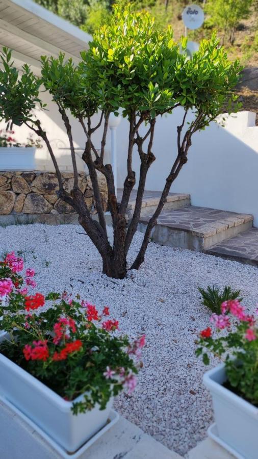 سان تيودورو Casa L'Ulivariu Affittacamere المظهر الخارجي الصورة