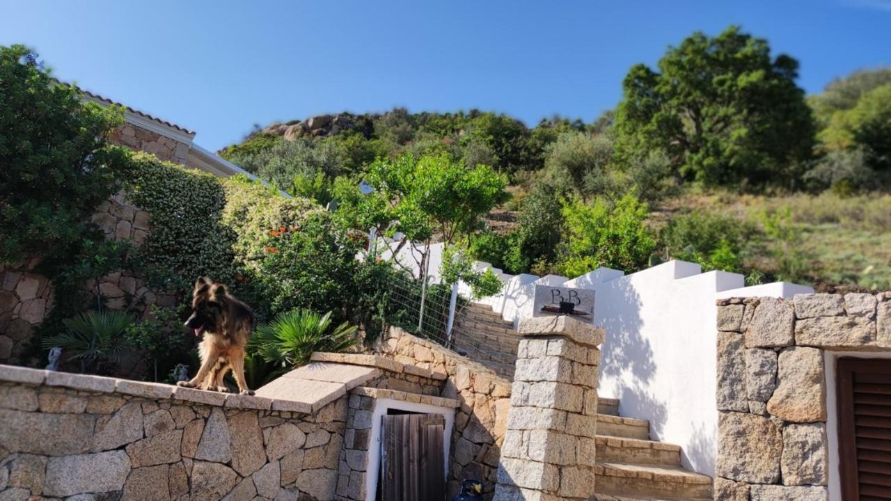 سان تيودورو Casa L'Ulivariu Affittacamere المظهر الخارجي الصورة