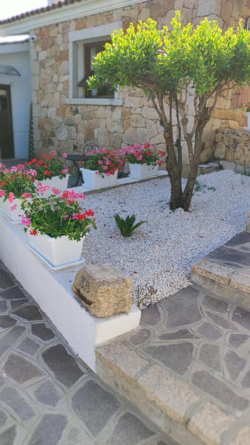 سان تيودورو Casa L'Ulivariu Affittacamere المظهر الخارجي الصورة