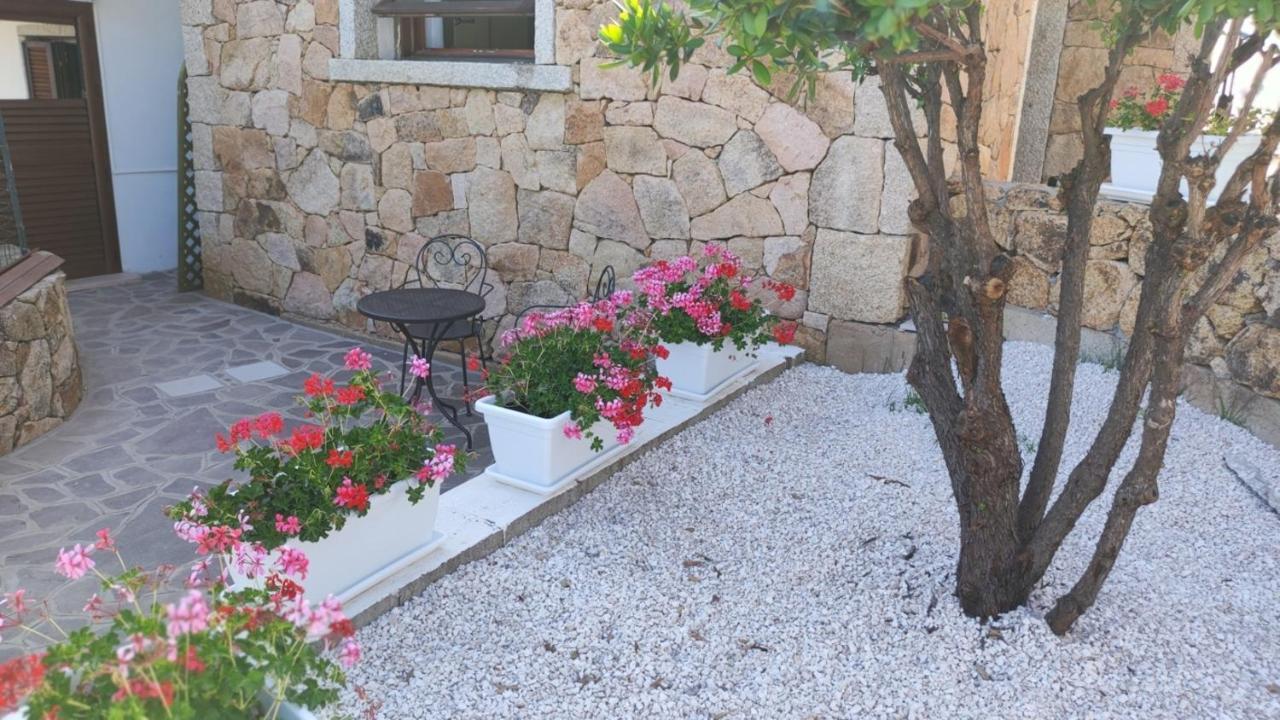 سان تيودورو Casa L'Ulivariu Affittacamere المظهر الخارجي الصورة