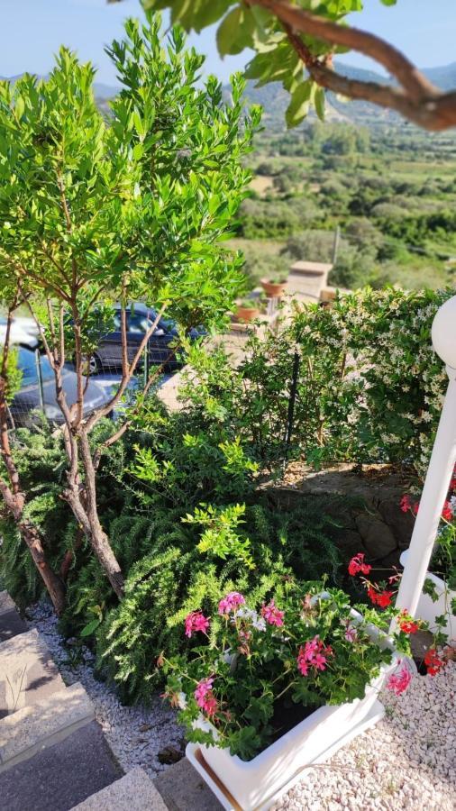 سان تيودورو Casa L'Ulivariu Affittacamere المظهر الخارجي الصورة