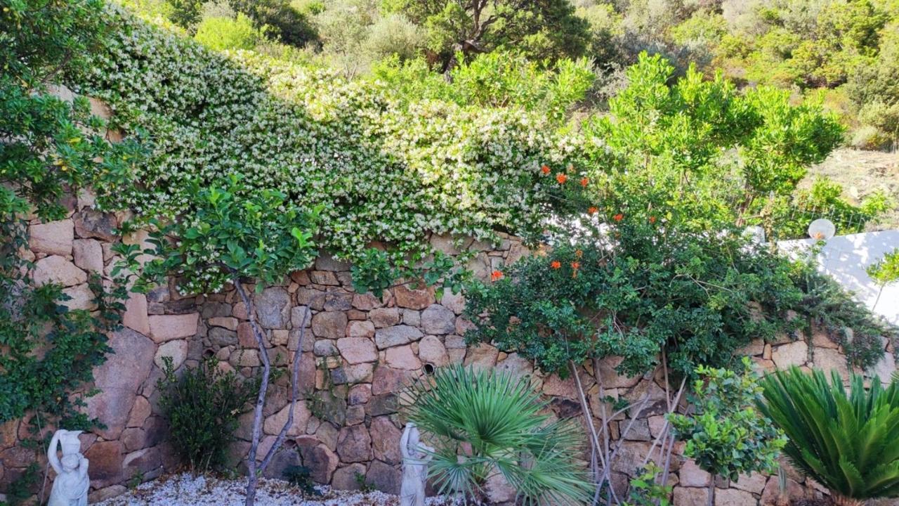 سان تيودورو Casa L'Ulivariu Affittacamere المظهر الخارجي الصورة