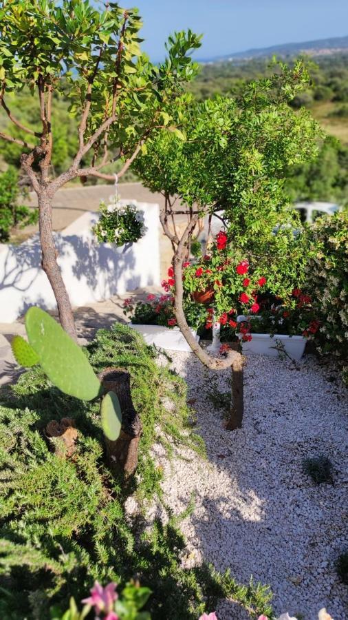 سان تيودورو Casa L'Ulivariu Affittacamere المظهر الخارجي الصورة