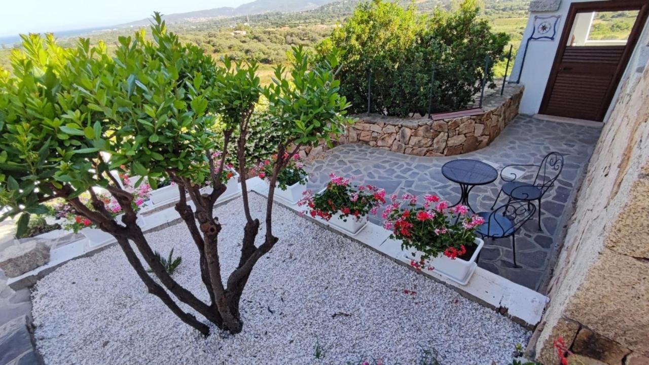 سان تيودورو Casa L'Ulivariu Affittacamere المظهر الخارجي الصورة