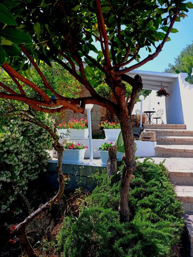 سان تيودورو Casa L'Ulivariu Affittacamere المظهر الخارجي الصورة