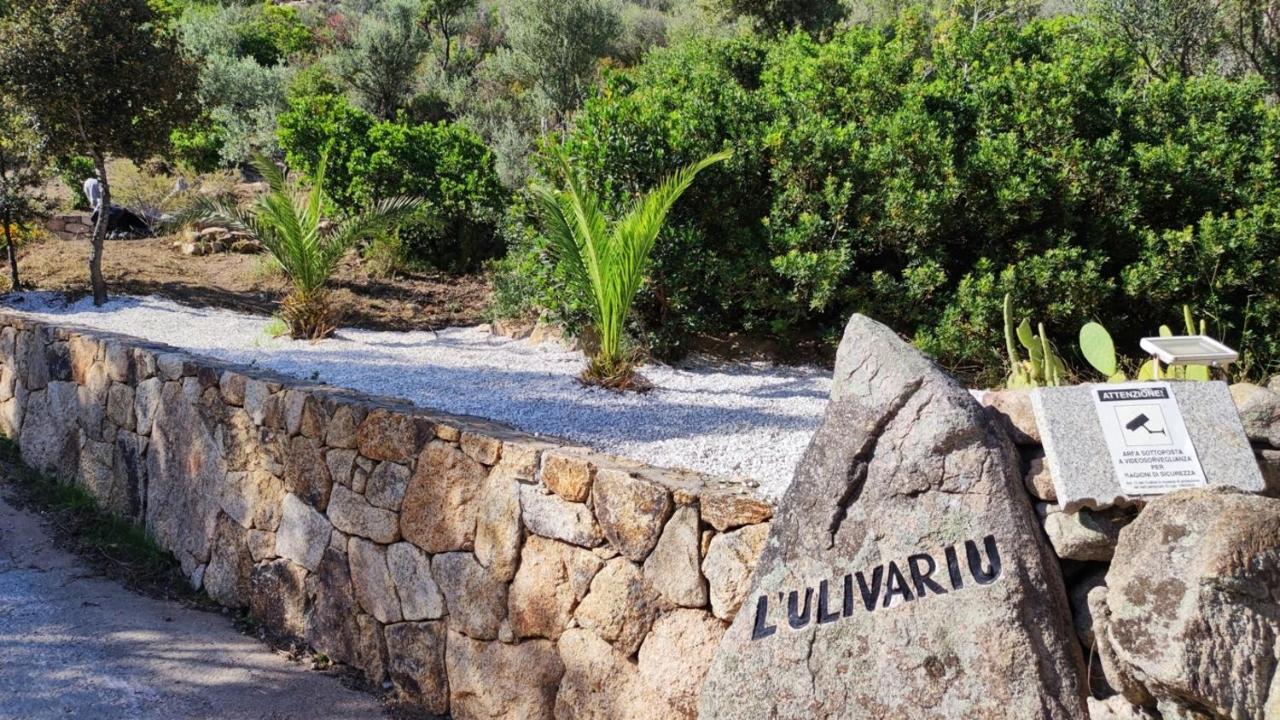 سان تيودورو Casa L'Ulivariu Affittacamere المظهر الخارجي الصورة