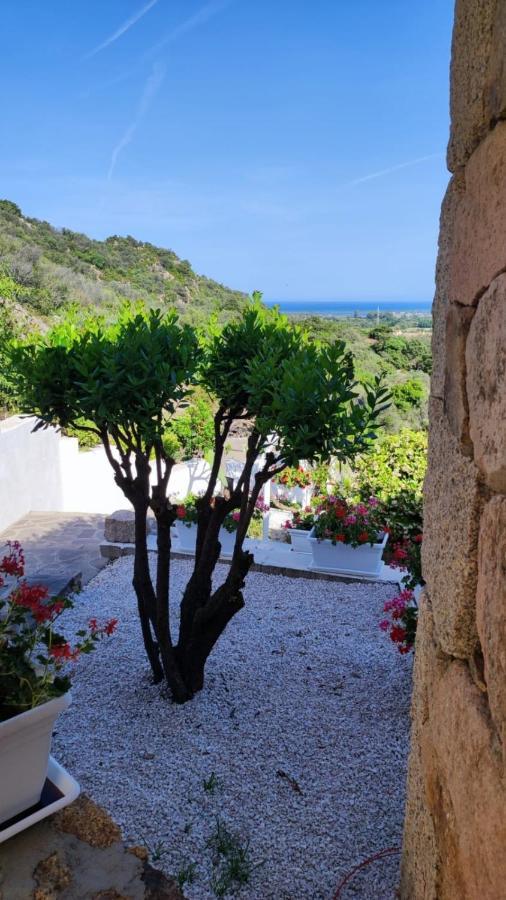 سان تيودورو Casa L'Ulivariu Affittacamere المظهر الخارجي الصورة
