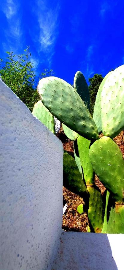 سان تيودورو Casa L'Ulivariu Affittacamere المظهر الخارجي الصورة