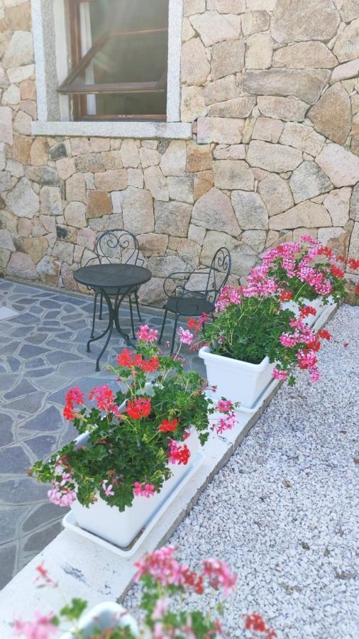 سان تيودورو Casa L'Ulivariu Affittacamere المظهر الخارجي الصورة