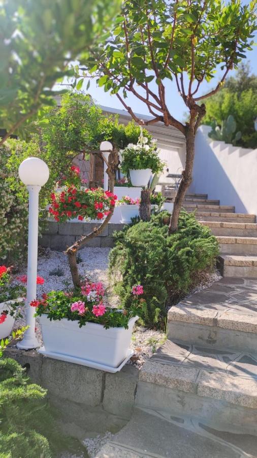 سان تيودورو Casa L'Ulivariu Affittacamere المظهر الخارجي الصورة